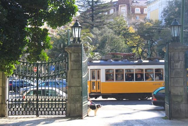 Apartament Apartamento Bem Localizado Para Familias & Amigos Lizbona Zewnętrze zdjęcie